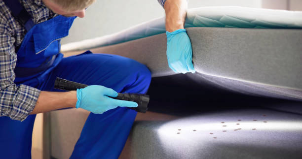 Best Ant Control Services  in Schererville, IN
