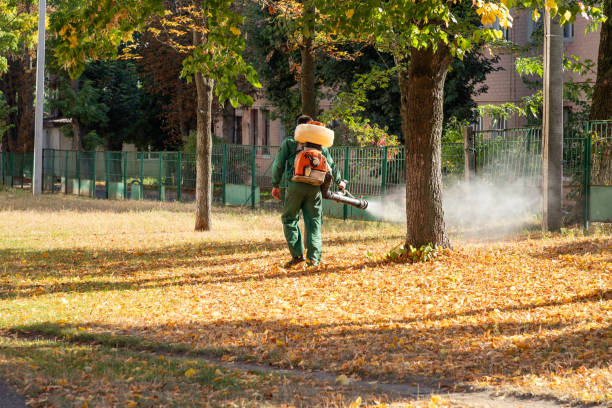 Best Pest Control Near Me  in Schererville, IN