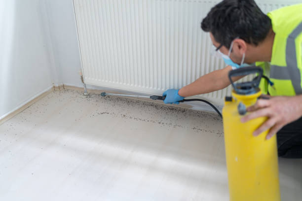 Best Residential Pest Control  in Schererville, IN
